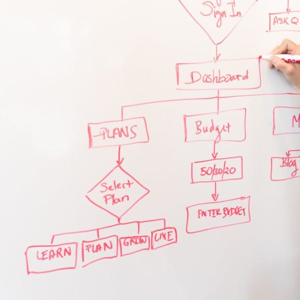 A person creates a flowchart diagram with red pen on a whiteboard, detailing plans and budgeting.